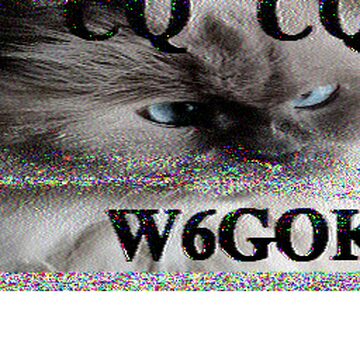 SSTV image received 2026-02-22 16:55