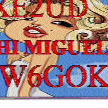 SSTV image received 2026-02-22 17:39