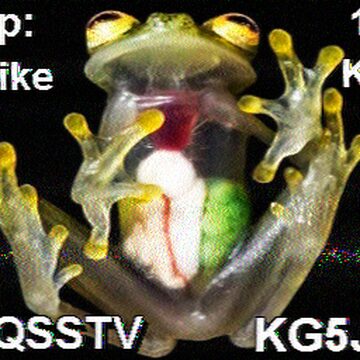 SSTV image received 2026-02-23 14:33