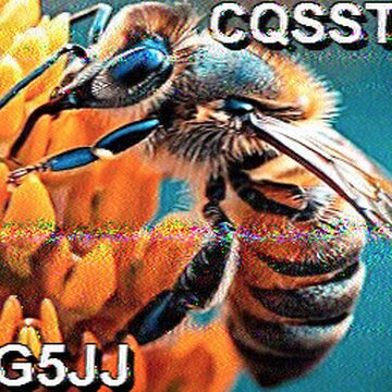 SSTV image received 2026-02-23 14:37