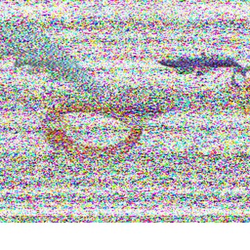 SSTV image received 2026-02-23 16:24