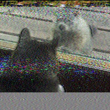 SSTV image received 2026-02-23 19:06