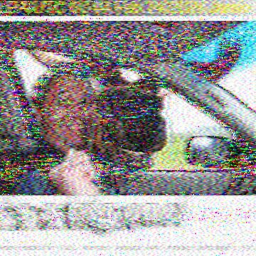 SSTV image received 2026-02-23 19:45