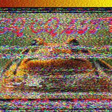 SSTV image received 2026-02-24 10:38