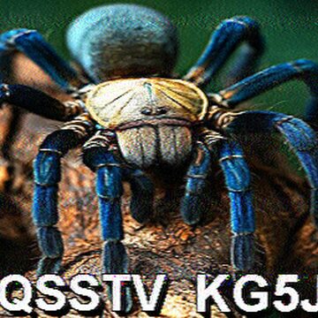 SSTV image received 2026-02-24 12:06