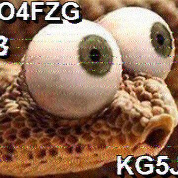 SSTV image received 2026-02-24 12:13