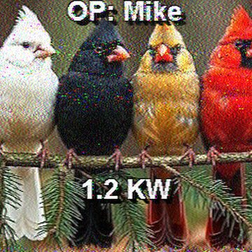 SSTV image received 2026-02-24 13:59