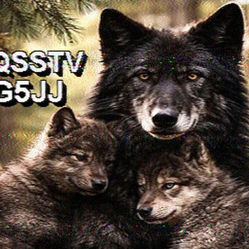 SSTV image received 2026-02-24 14:03