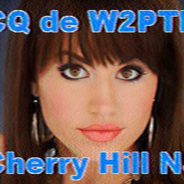 SSTV image received 2026-02-24 15:43