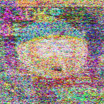SSTV image received 2026-02-24 16:23