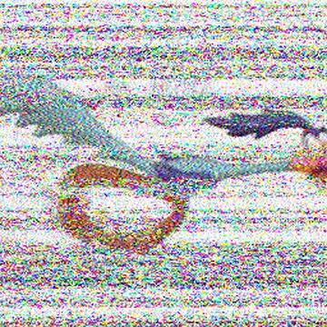 SSTV image received 2026-02-24 16:43