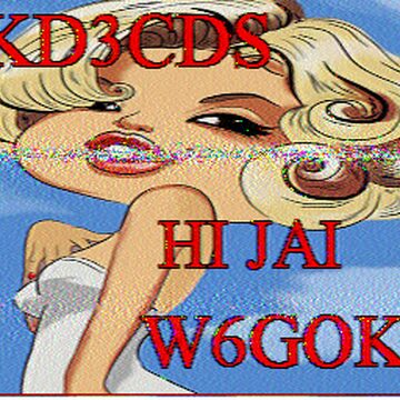 SSTV image received 2026-02-24 18:45