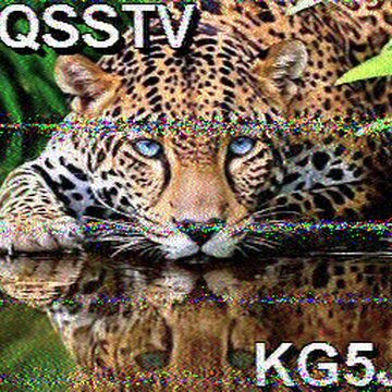 SSTV image received 2026-03-31 14:43