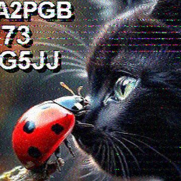 SSTV image received 2026-03-31 17:28