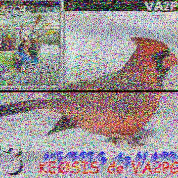 SSTV image received 2026-04-01 19:21