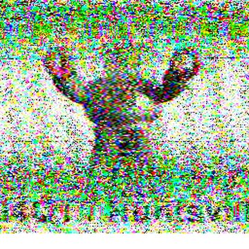 SSTV image received 2026-04-03 16:21