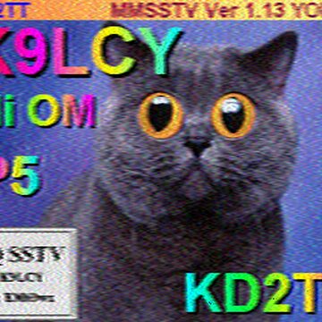 SSTV image received 2026-04-04 17:44