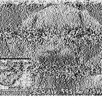 SSTV image received 2026-04-04 19:16