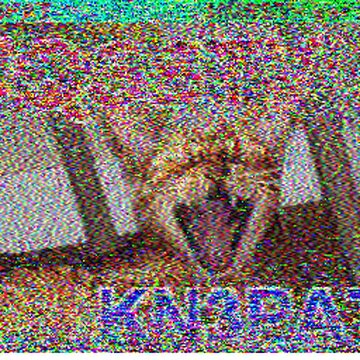 SSTV image received 2026-04-08 10:33
