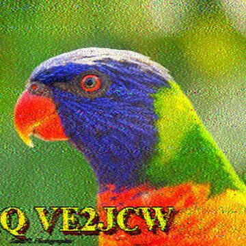 SSTV image received 2026-04-16 10:06