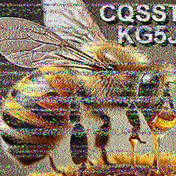 SSTV image received 2026-05-19 14:25