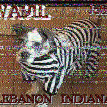 SSTV image received 2026-05-19 14:29