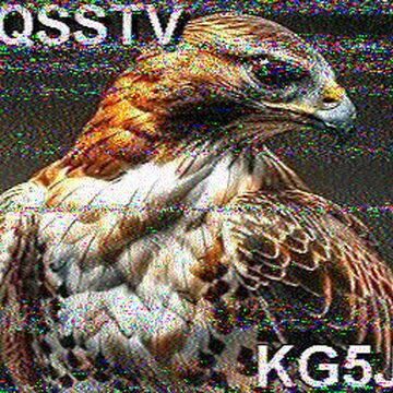 SSTV image received 2026-05-19 14:42