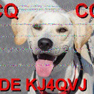 SSTV image received 2026-05-25 19:14