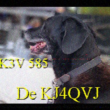 SSTV image received 2026-05-25 19:33
