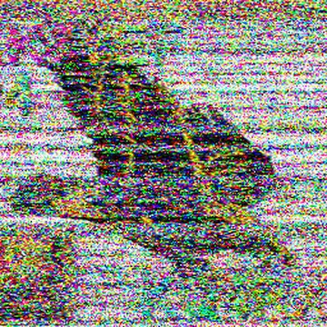 SSTV image received 2026-06-02 23:09
