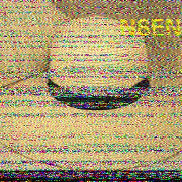 SSTV image received 2026-06-04 11:17