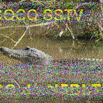 SSTV image received 2026-06-04 21:39