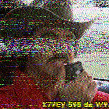SSTV image received 2026-06-06 13:44