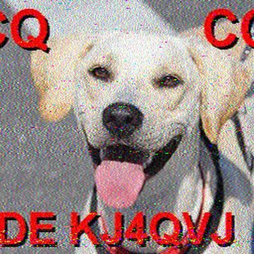 SSTV image received 2026-06-06 14:02