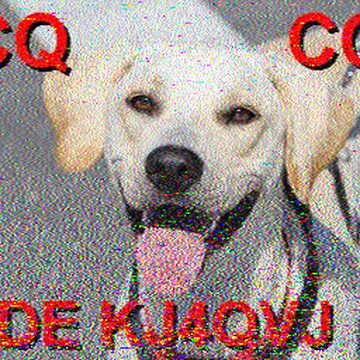 SSTV image received 2026-06-06 14:12