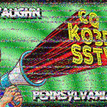 SSTV image received 2026-06-09 15:31