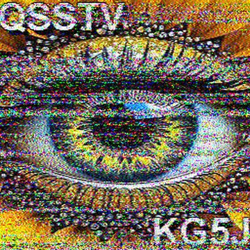 SSTV image received 2026-06-10 10:59