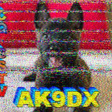 SSTV image received 2026-06-10 15:20