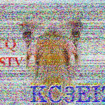 SSTV image received 2026-06-10 20:39