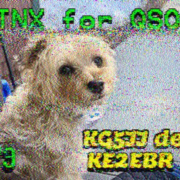 SSTV image received 2026-06-12 19:58