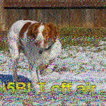 SSTV image received 2026-06-16 20:33