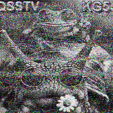 SSTV image received 2026-06-21 10:44