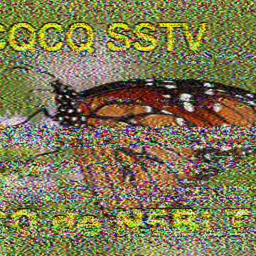 SSTV image received 2026-06-21 19:51