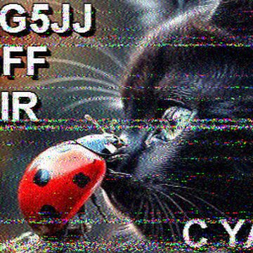 SSTV image received 2026-06-21 19:56