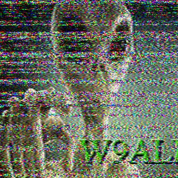 SSTV image received 2026-06-21 23:24