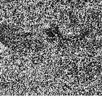 SSTV image received 2026-06-22 02:28