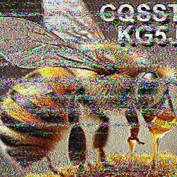 SSTV image received 2026-06-24 12:22