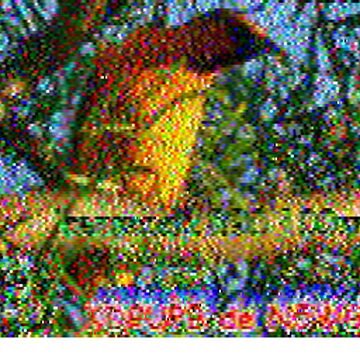 SSTV image received 2026-06-24 21:33