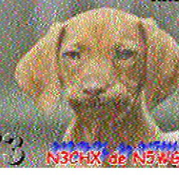 SSTV image received 2026-06-24 21:38