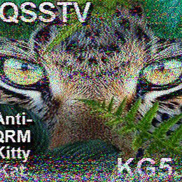 SSTV image received 2026-07-01 10:39